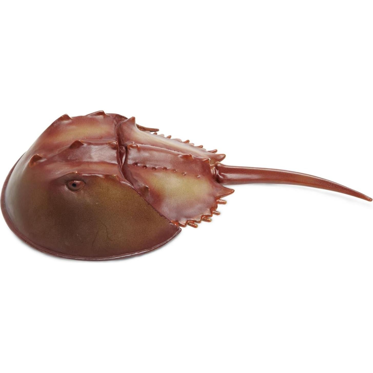 Figurita Cangrejo de Herradura Safari Ltd. 17.78 cm Educativa