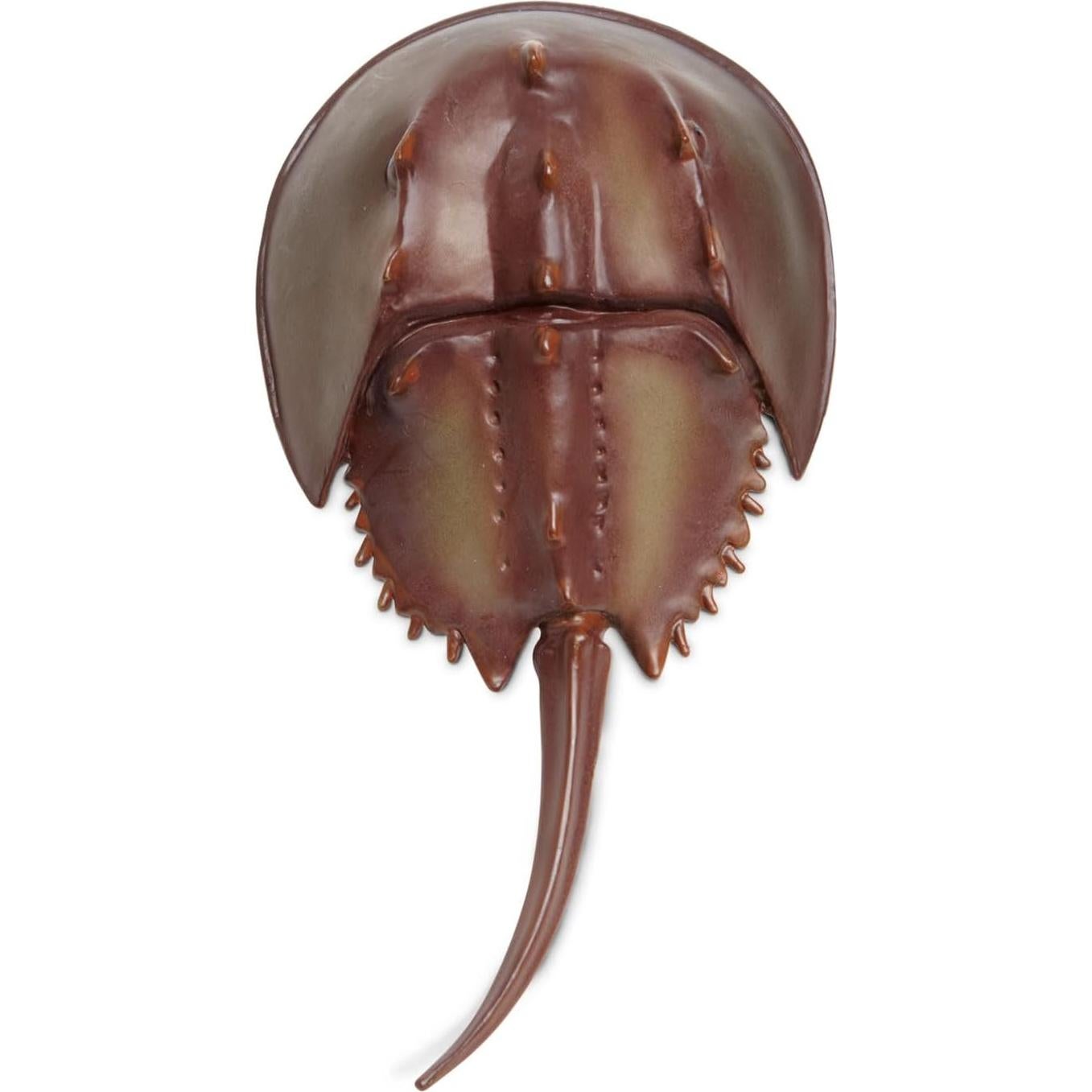 Figurita Cangrejo de Herradura Safari Ltd. 17.78 cm Educativa