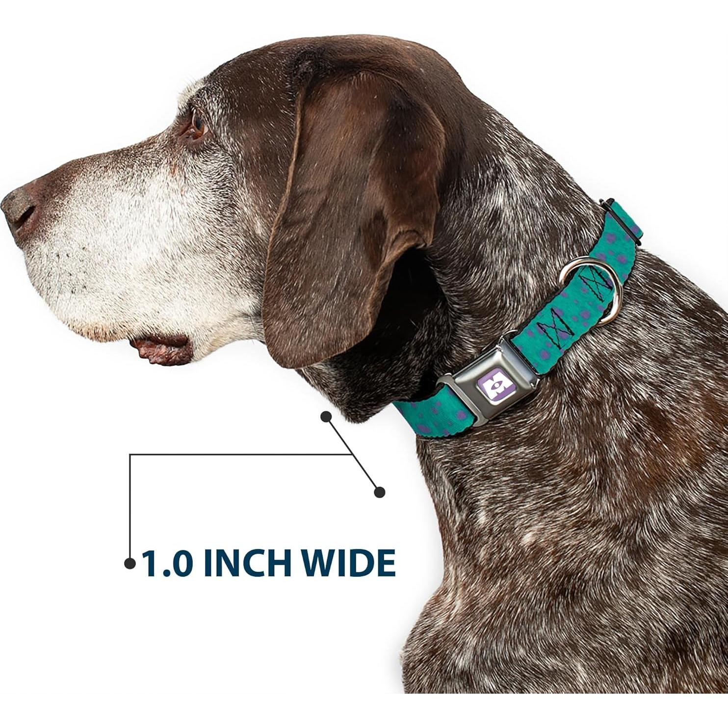 Collar de Perro Buckle-Down Sulley Disney 11-17 cm Azul