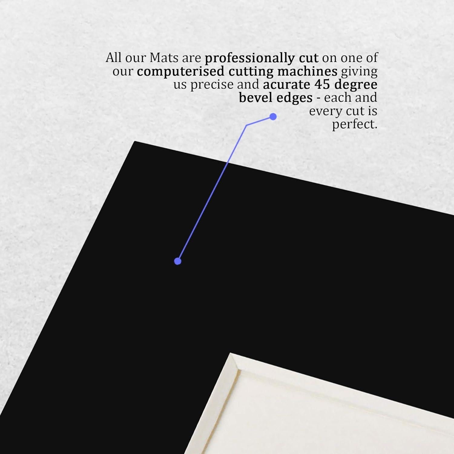 Exhibición sin Marco William Shatner 21.6x27.9 cm HWC Trading