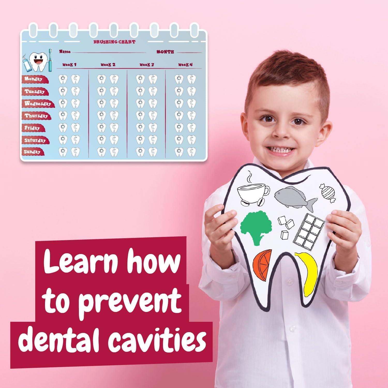 Kit de Dentista Science4you para Niños - 10 Actividades Educativas