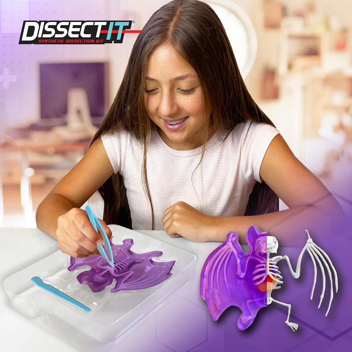 Juguete de Disección Murciélago Dissect-It Top Secret Toys