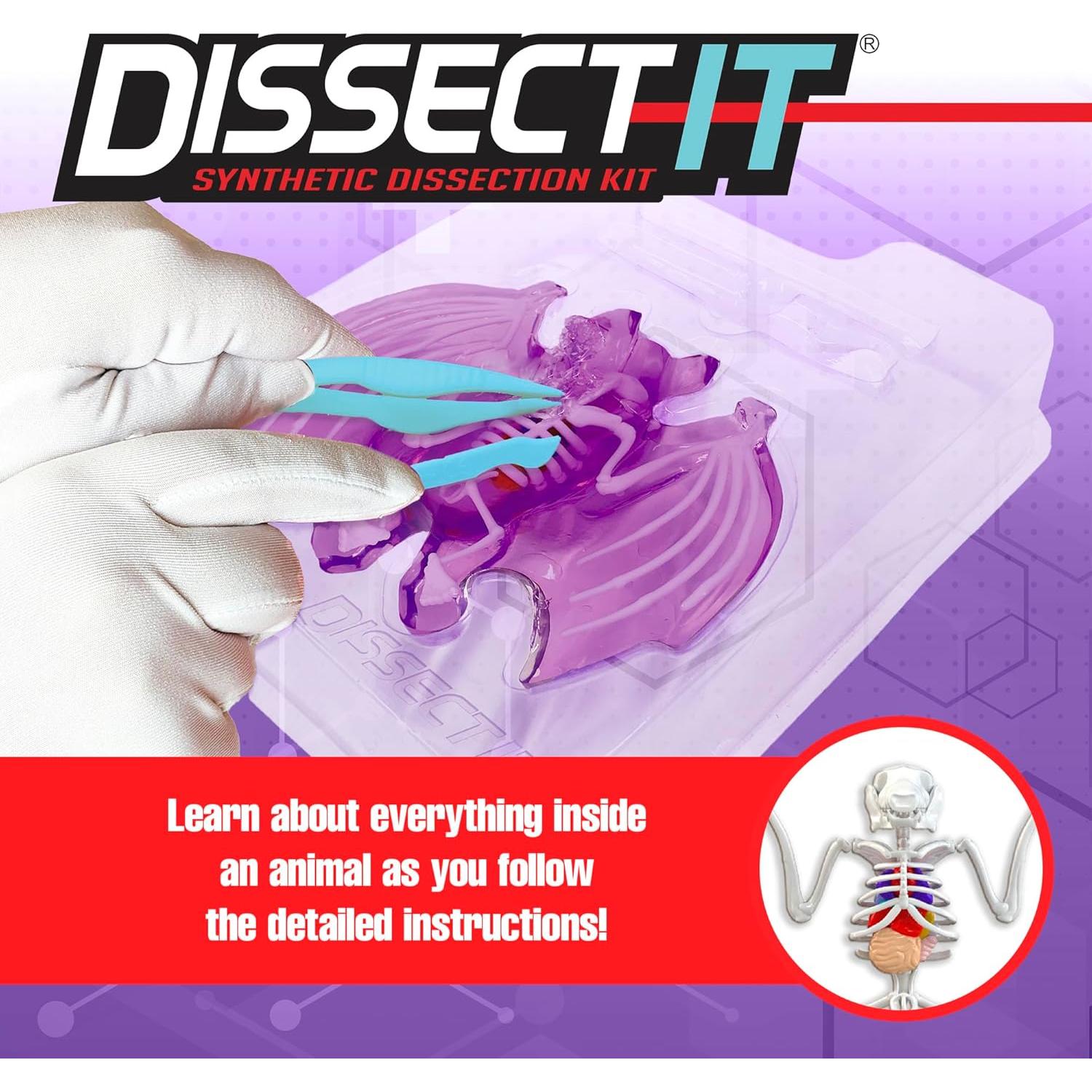 Juguete de Disección Murciélago Dissect-It Top Secret Toys