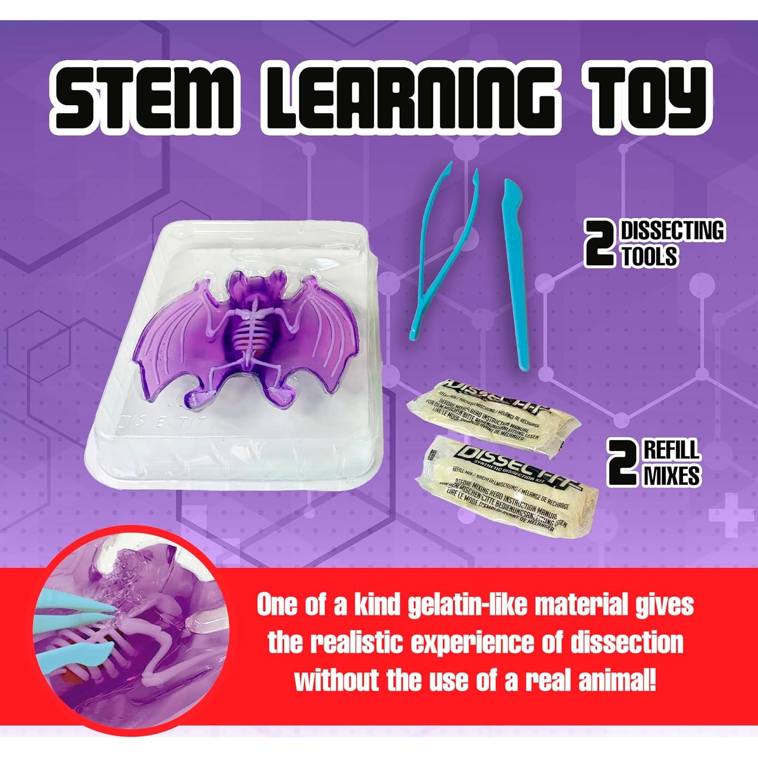 Juguete de Disección Murciélago Dissect-It Top Secret Toys