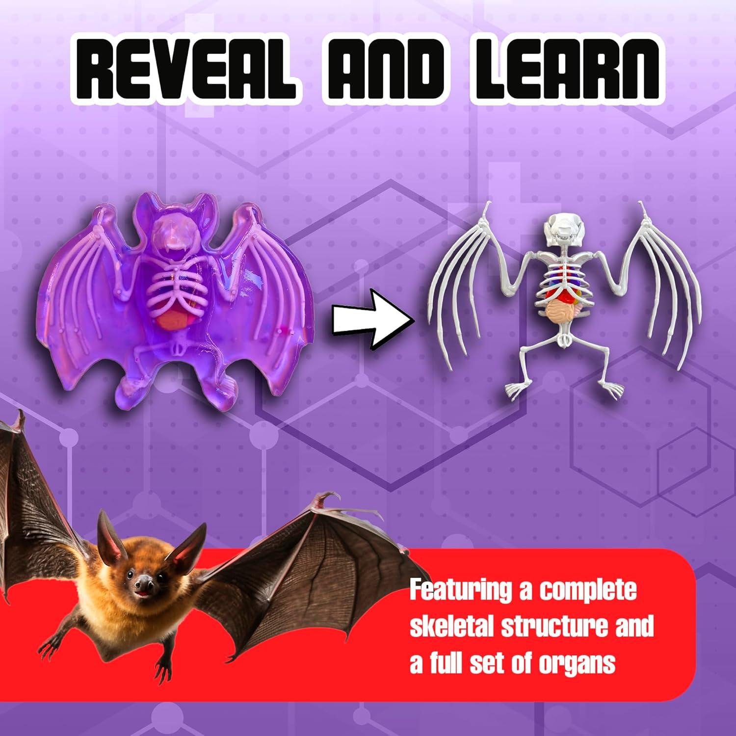 Juguete de Disección Murciélago Dissect-It Top Secret Toys