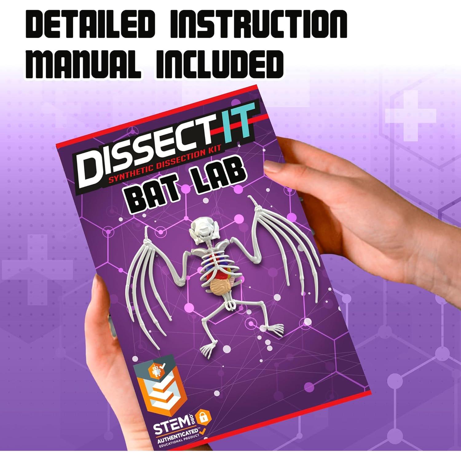 Juguete de Disección Murciélago Dissect-It Top Secret Toys