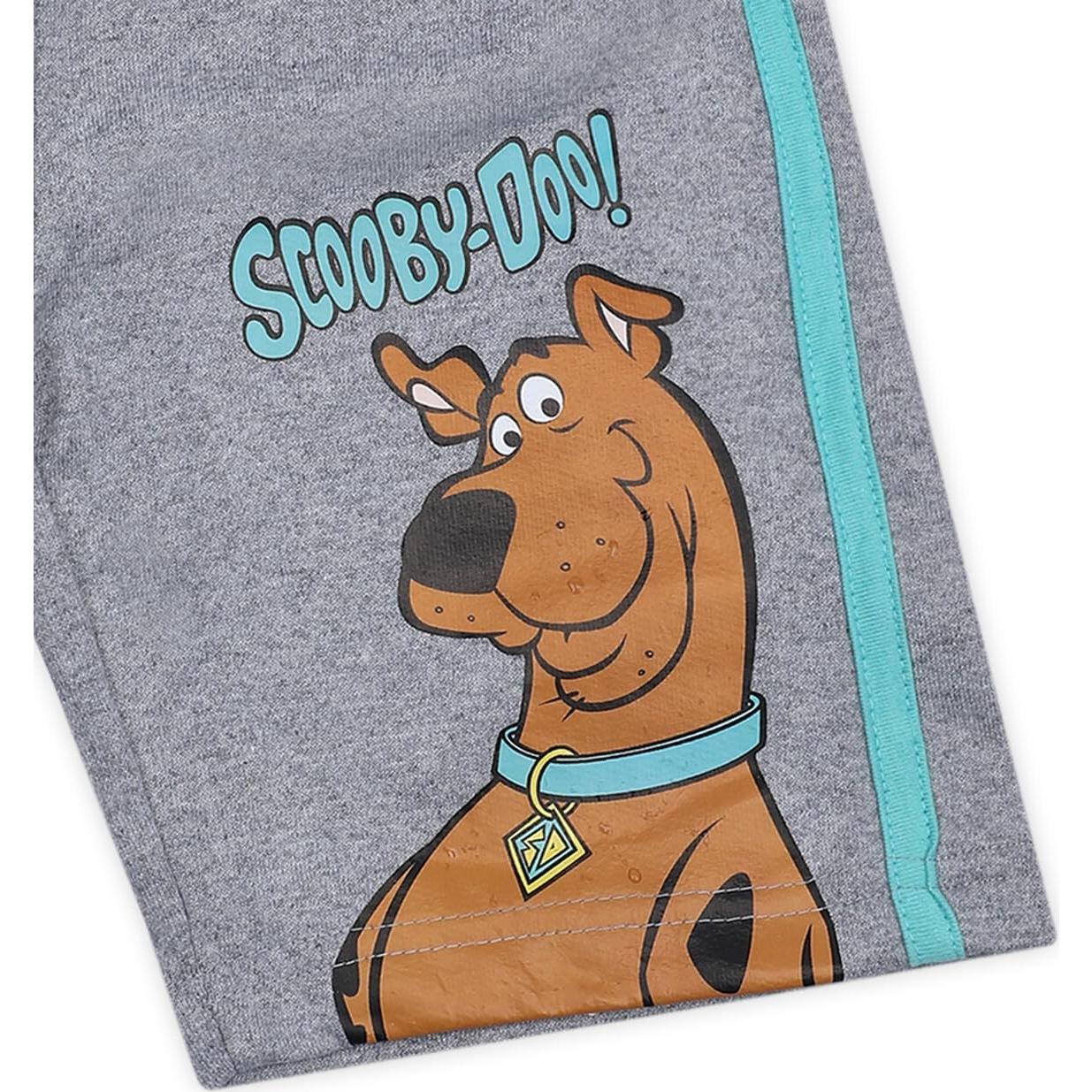 Pantalones Cortos Scooby-Doo Warner Bros. 2 Piezas Gris/Azul 4T
