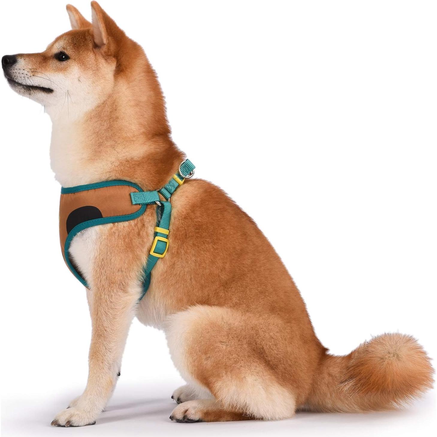 Arnés para Perros Scooby-Doo Warner Brothers Grande Sin Tirones