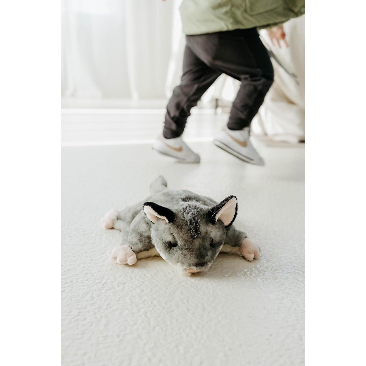 Peluche Azúcar Planeador El Zoológico de Caricias 20 cm