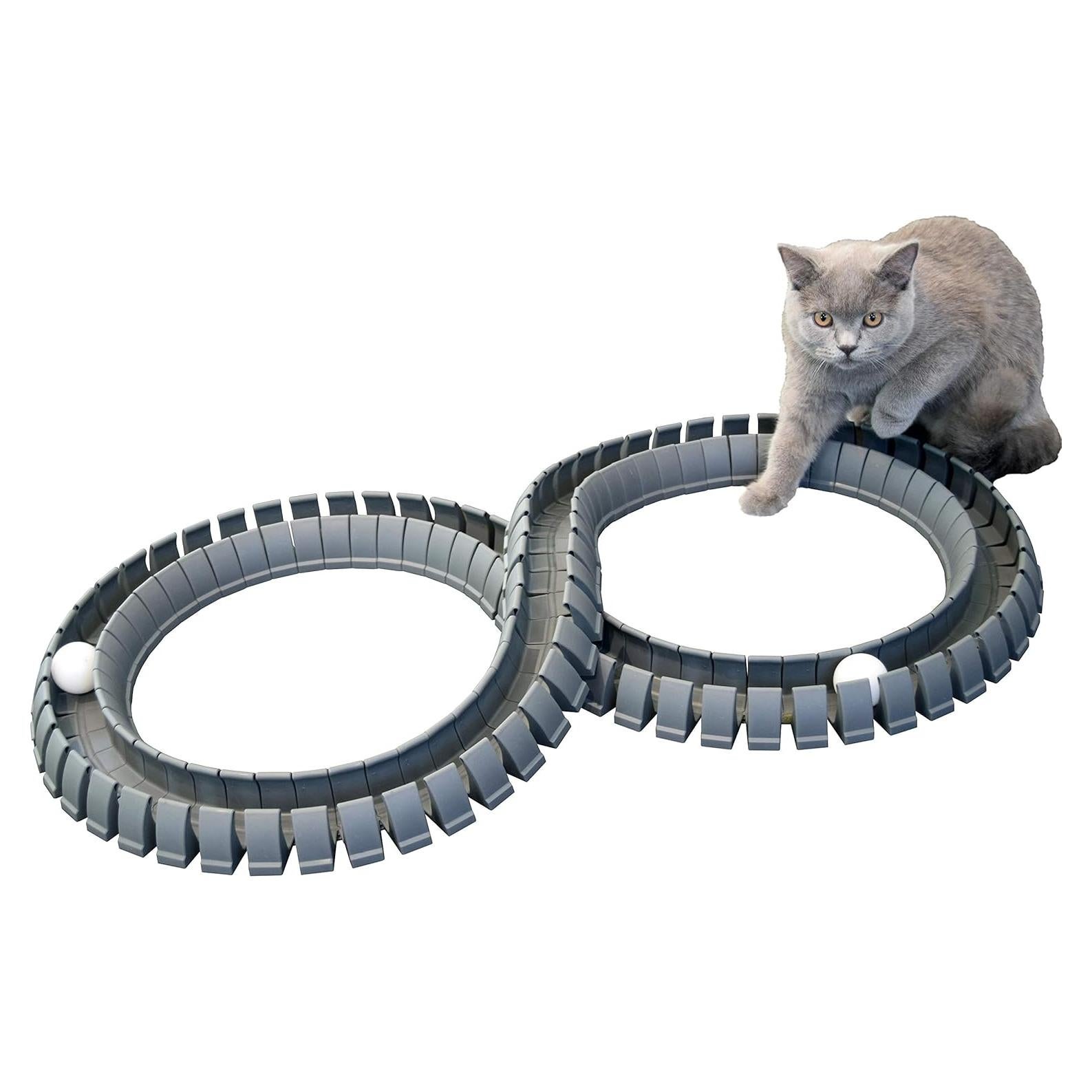 Juguete de Pista y Pelota Magic Cat para Gatos - 82 Piezas