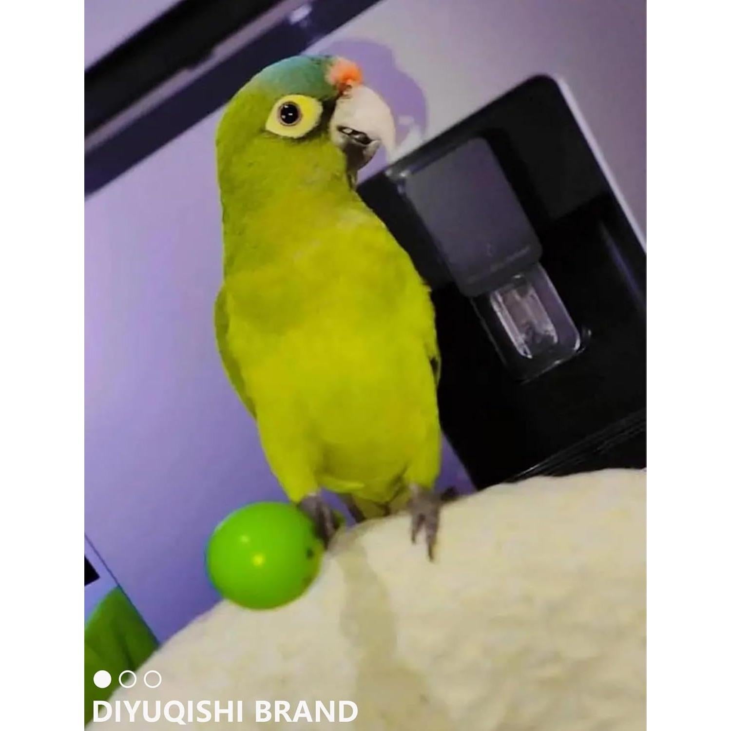 Set de 23 Juguetes para Aves DIYUQISHI - Diversión Segura y Colorida