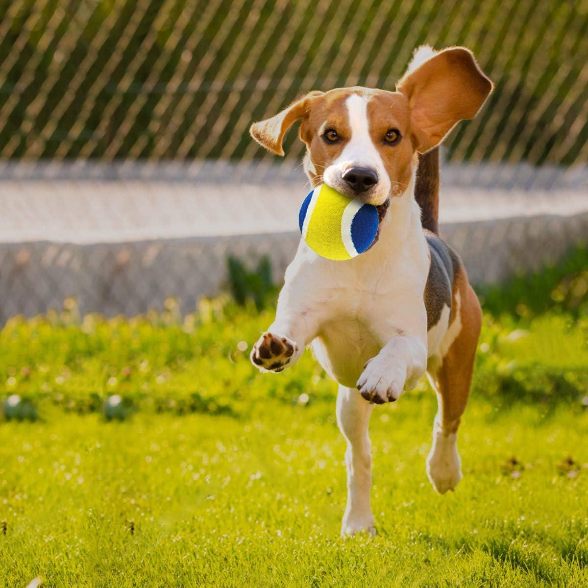 Set de Juego de Pelota Mejorado EVERICH - Palas y Pelotas para Niños