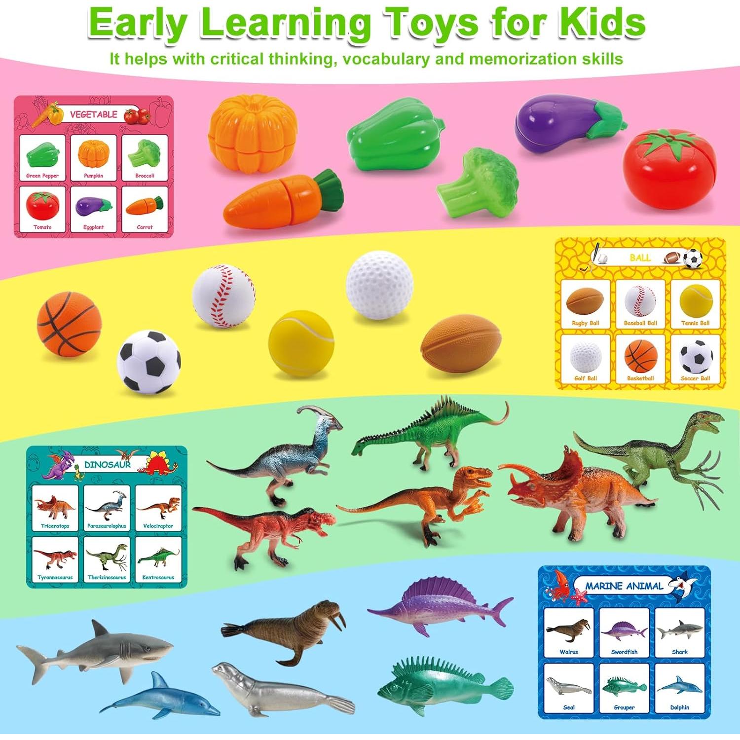 Juego de Clasificación Montessori Ming You - Juguetes Educativos 3-5 Años