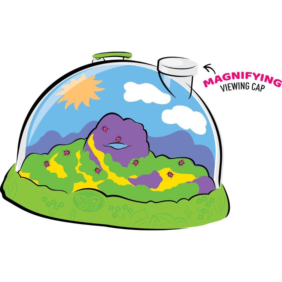 Kit de Crecimiento de Mariquitas Insect Lore - Habitat Educativo STEM