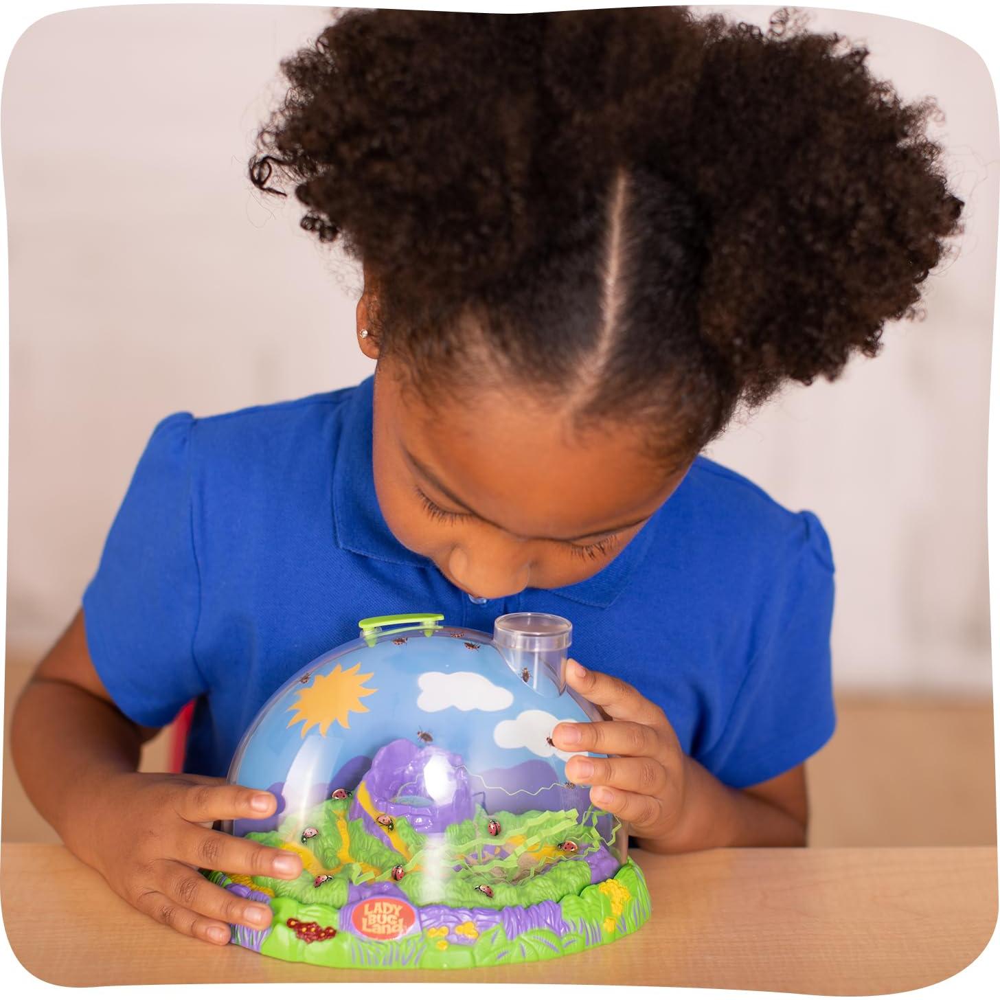 Kit de Crecimiento de Mariquitas Insect Lore - Habitat Educativo STEM