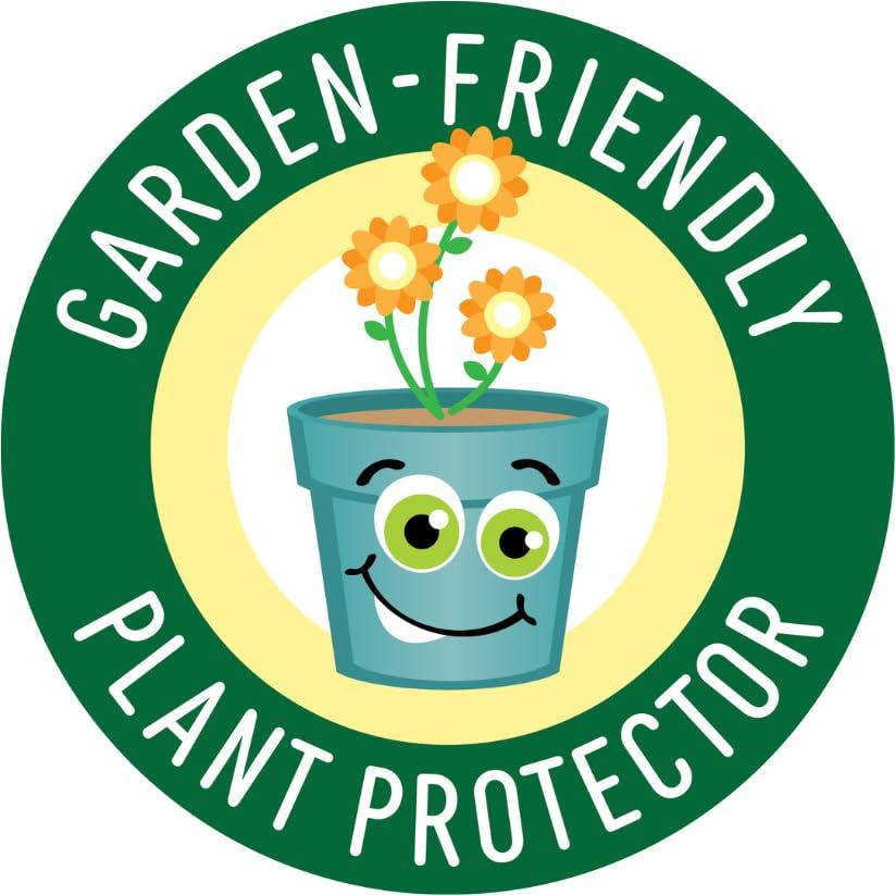 Kit de Crecimiento de Mariquitas Insect Lore - Habitat Educativo STEM