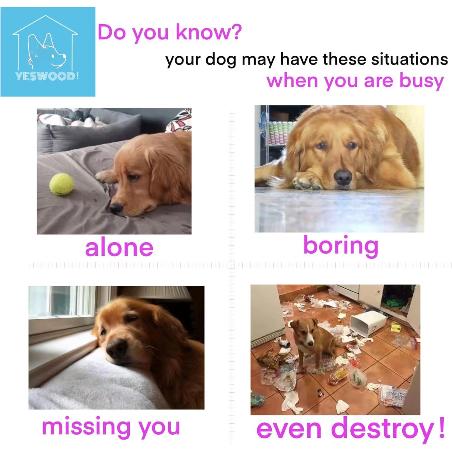 Juguete interactivo para perros YESWOOD! con cuerda y pelota - 4 unidades