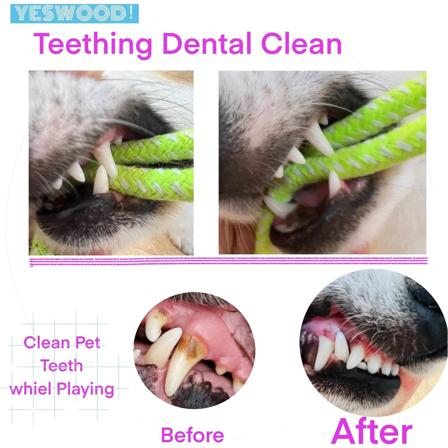 Juguete interactivo para perros YESWOOD! con cuerda y pelota - 4 unidades