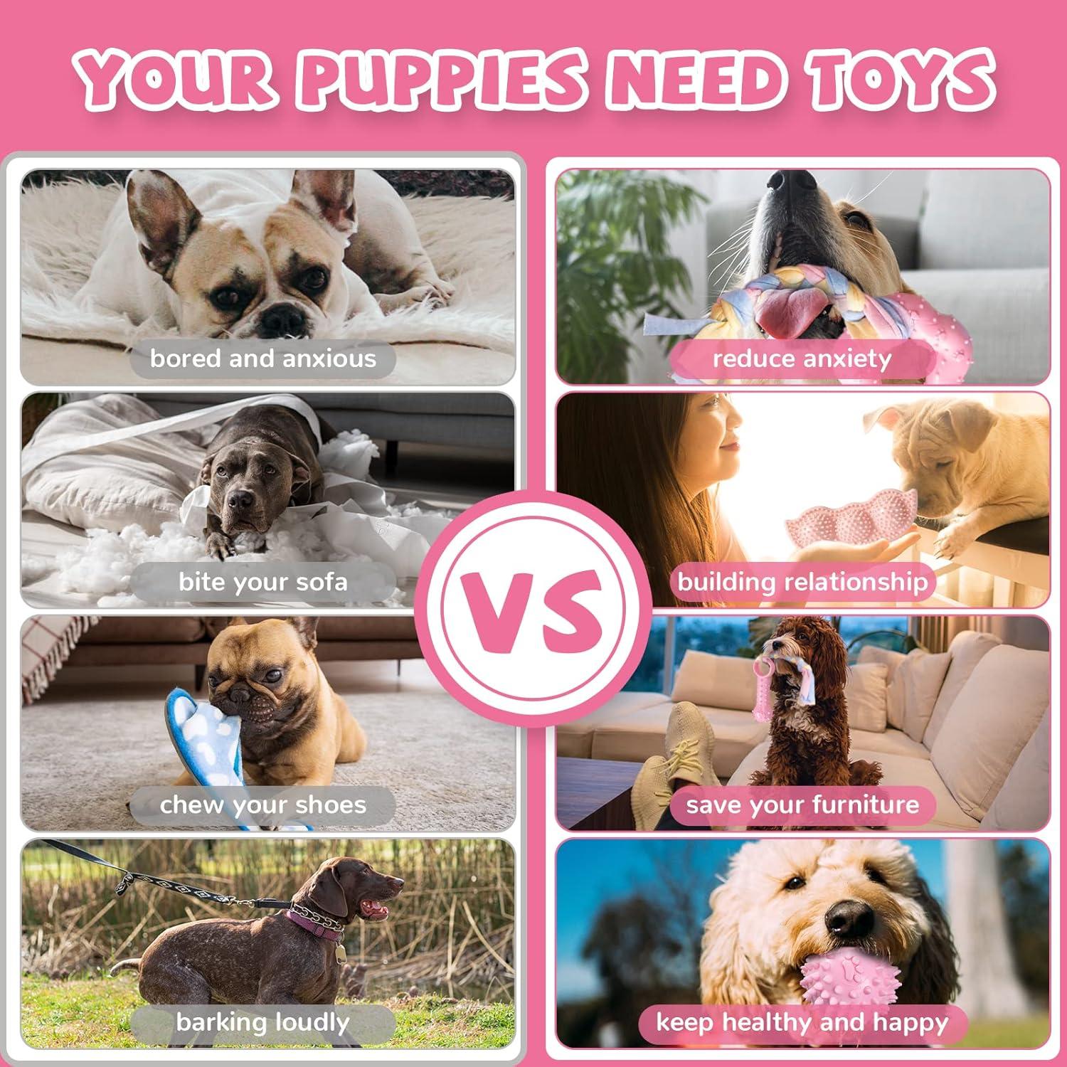 Paquete de 6 Juguetes para Cachorros ABRRLO Rosa Dentición