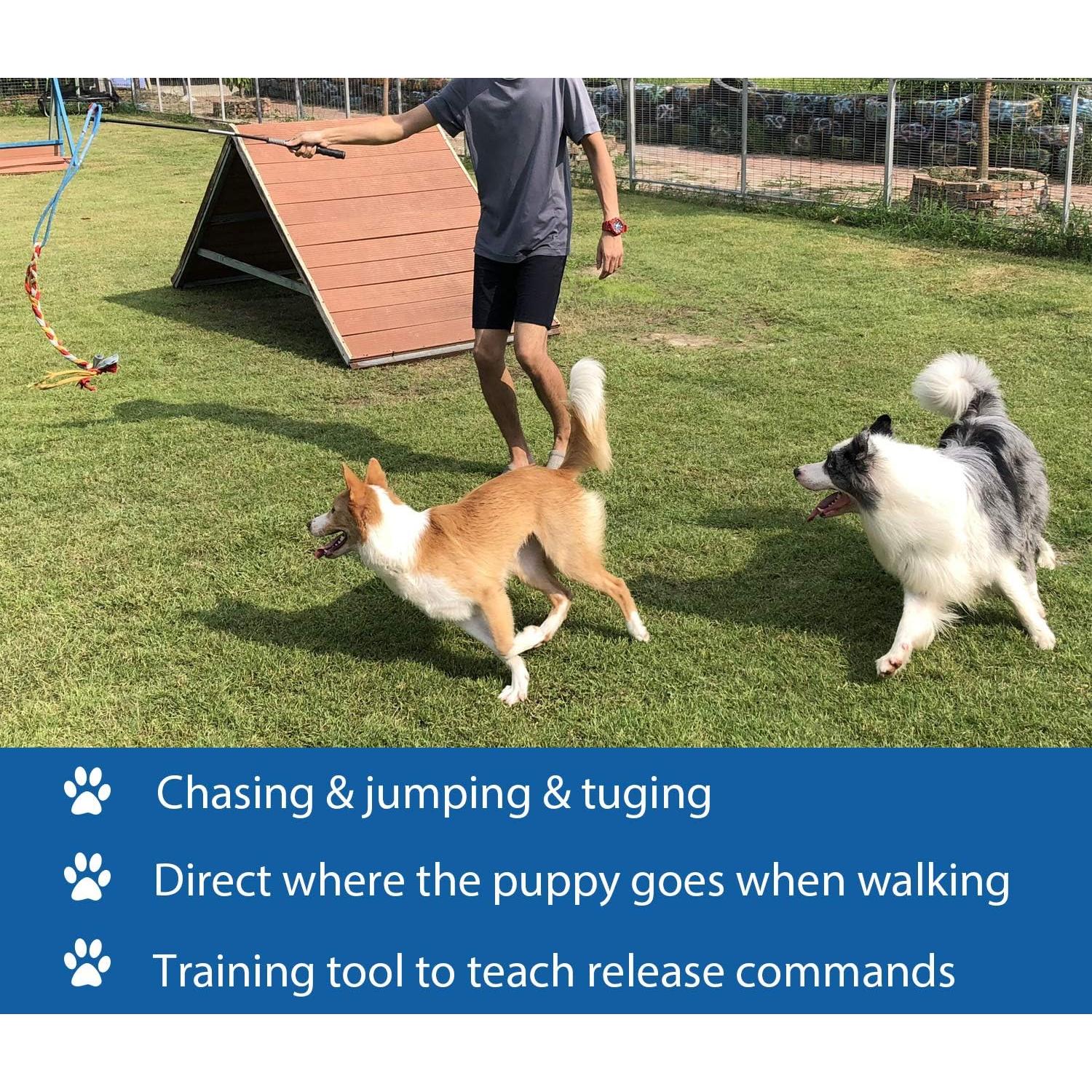 Juguete Interactivo para Perros Dewonch - Varita 89 cm