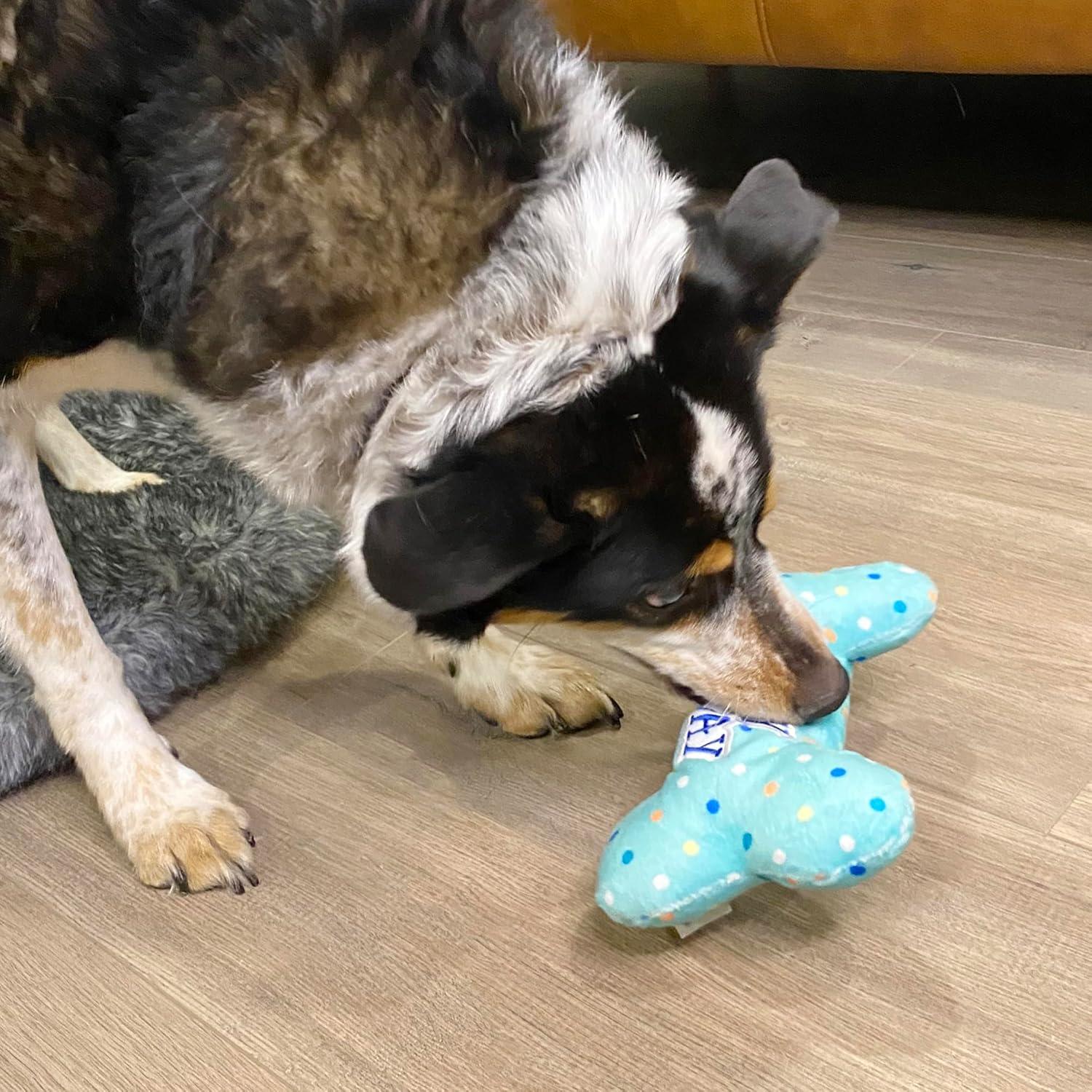 Juguete de Cumpleaños para Perros LotFancy Hueso Squeaky