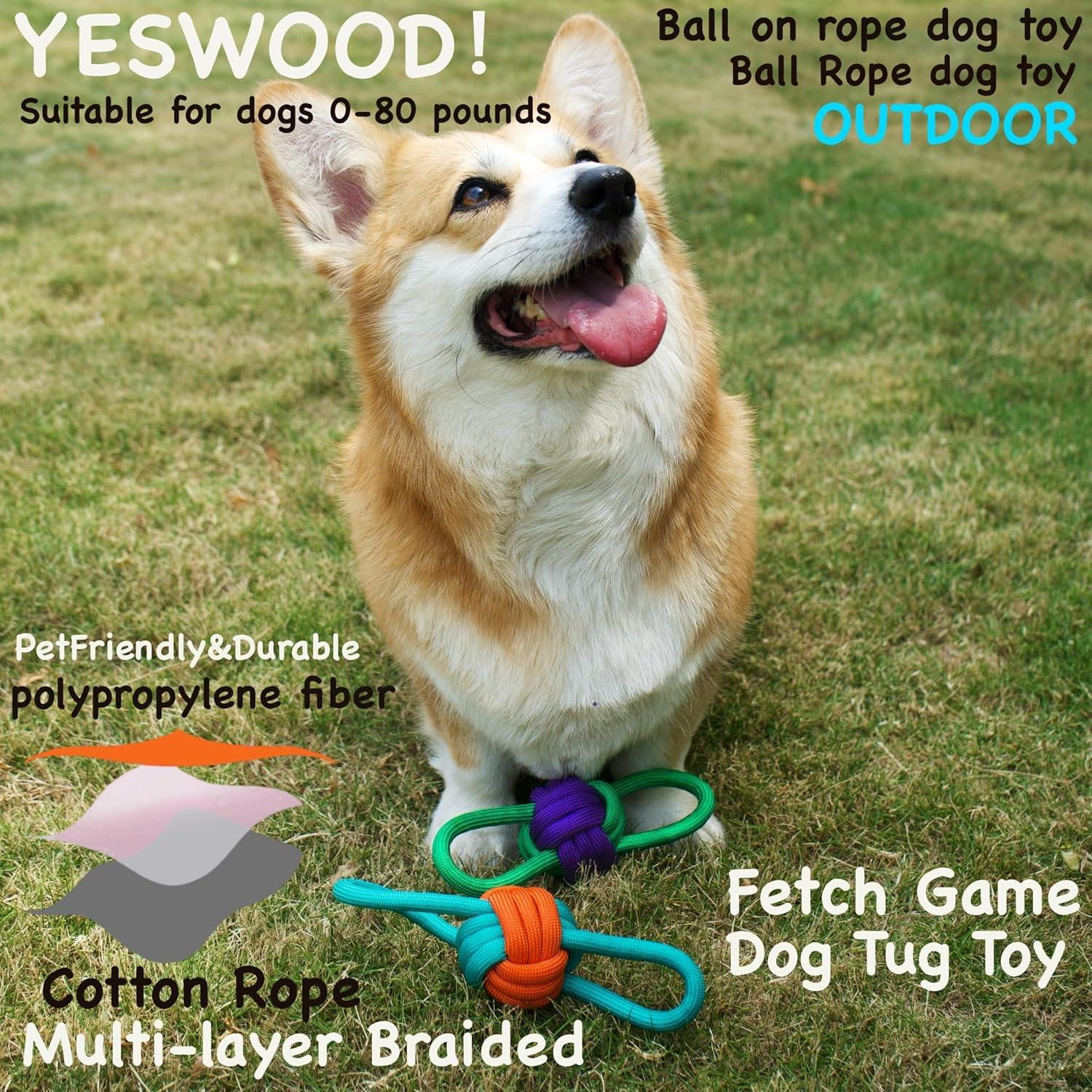 Juguete para Perros Pequeños Yeswood con Cuerda y Bola 34cm