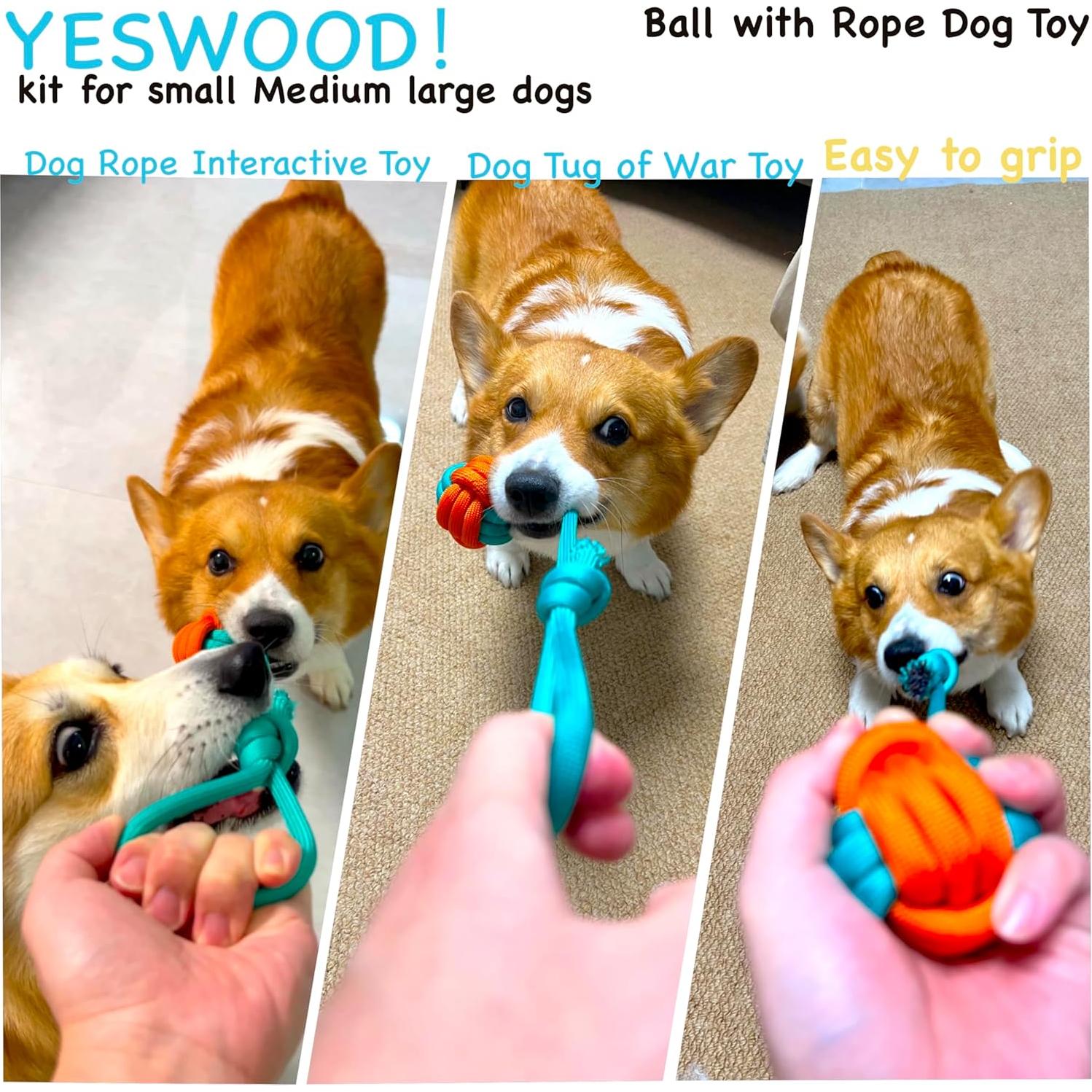 Juguete para Perros Pequeños Yeswood con Cuerda y Bola 34cm