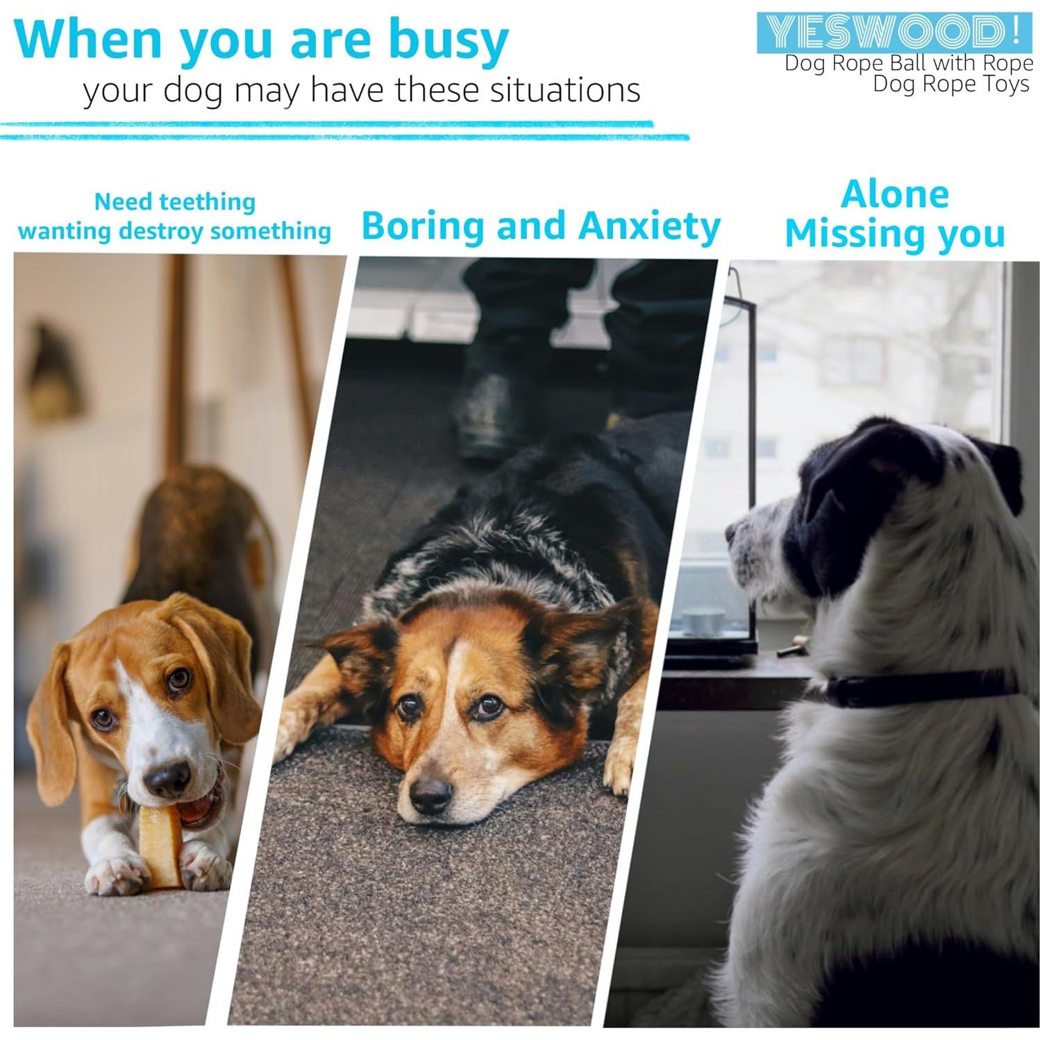 Juguete para Perros Pequeños Yeswood con Cuerda y Bola 34cm