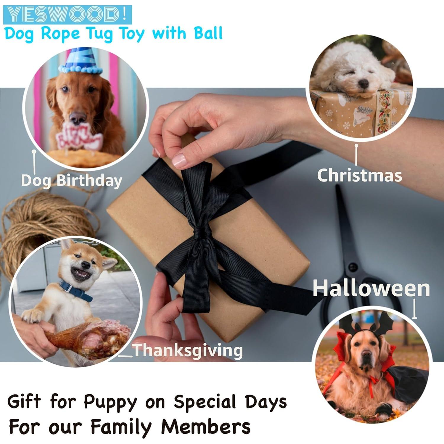 Juguete para Perros Pequeños Yeswood con Cuerda y Bola 34cm