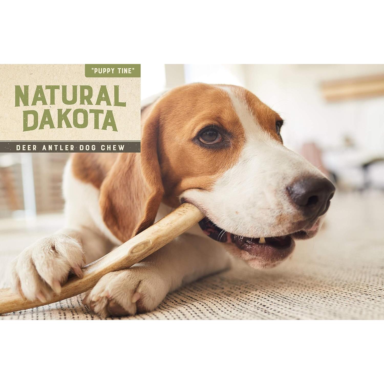 Juguete Masticable Natural para Cachorros Natural Dakota Mediano