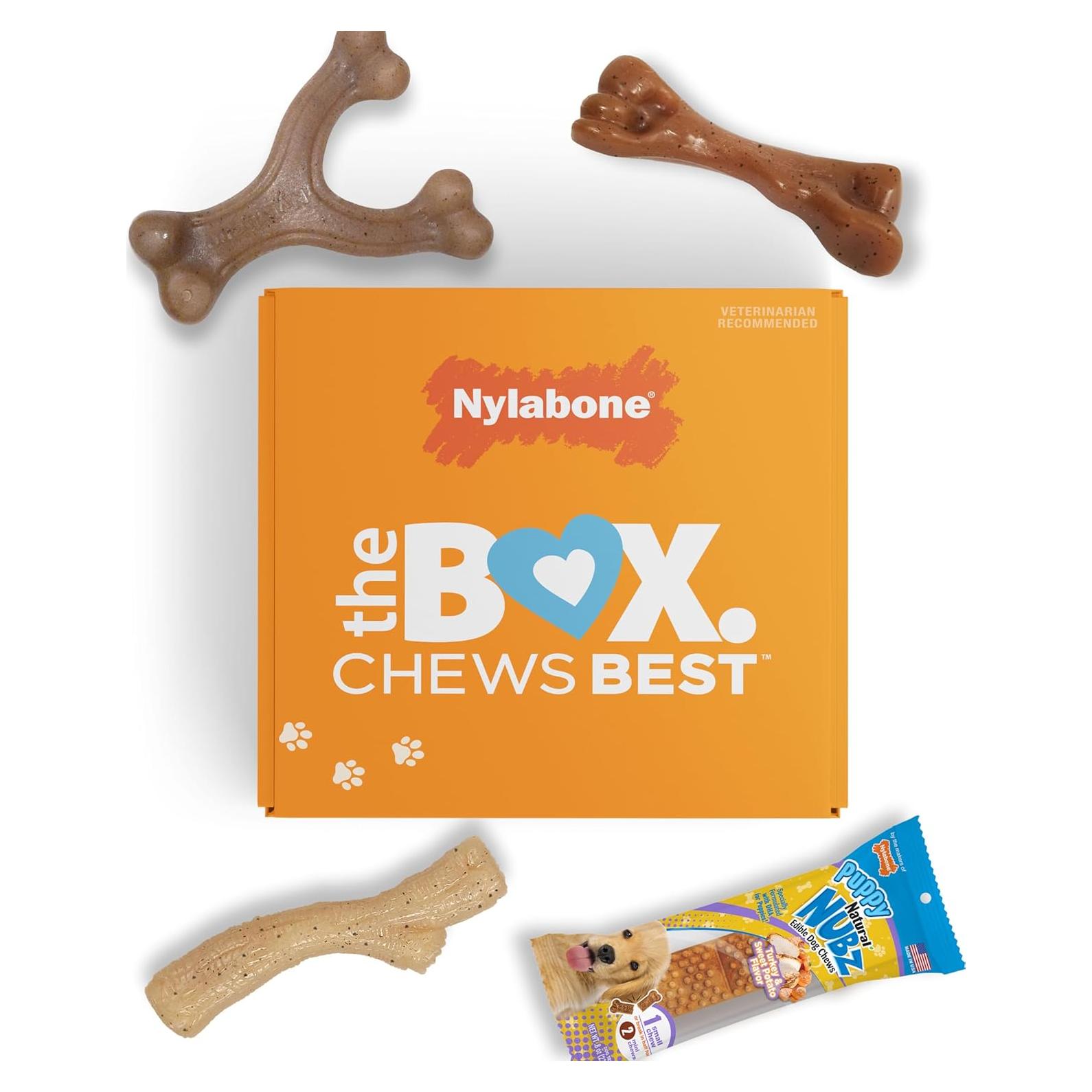 Caja de Regalo Nylabone para Cachorros - 3 Juguetes y 1 Golosina