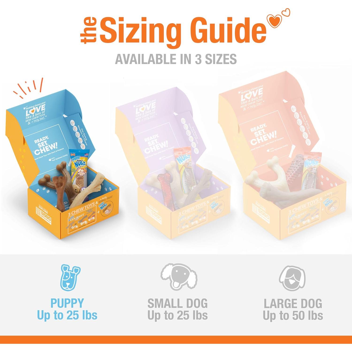 Caja de Regalo Nylabone para Cachorros - 3 Juguetes y 1 Golosina