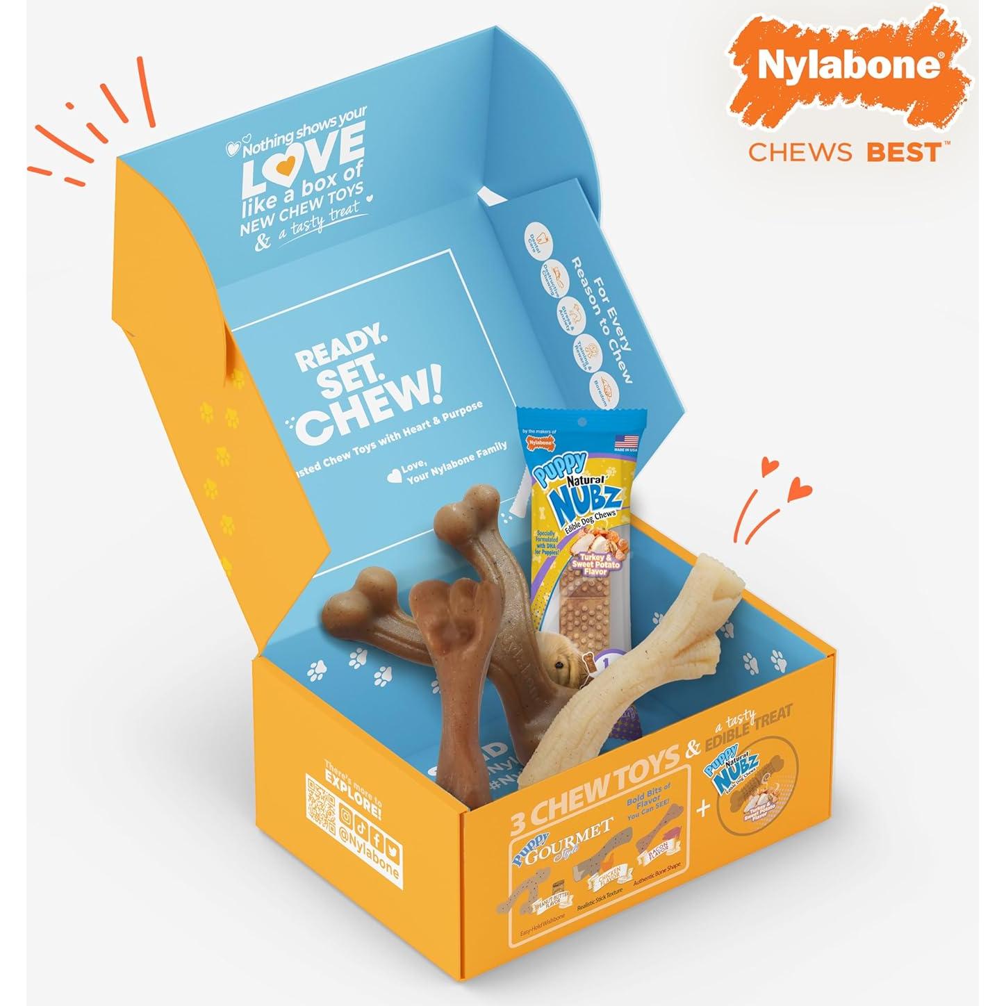 Caja de Regalo Nylabone para Cachorros - 3 Juguetes y 1 Golosina