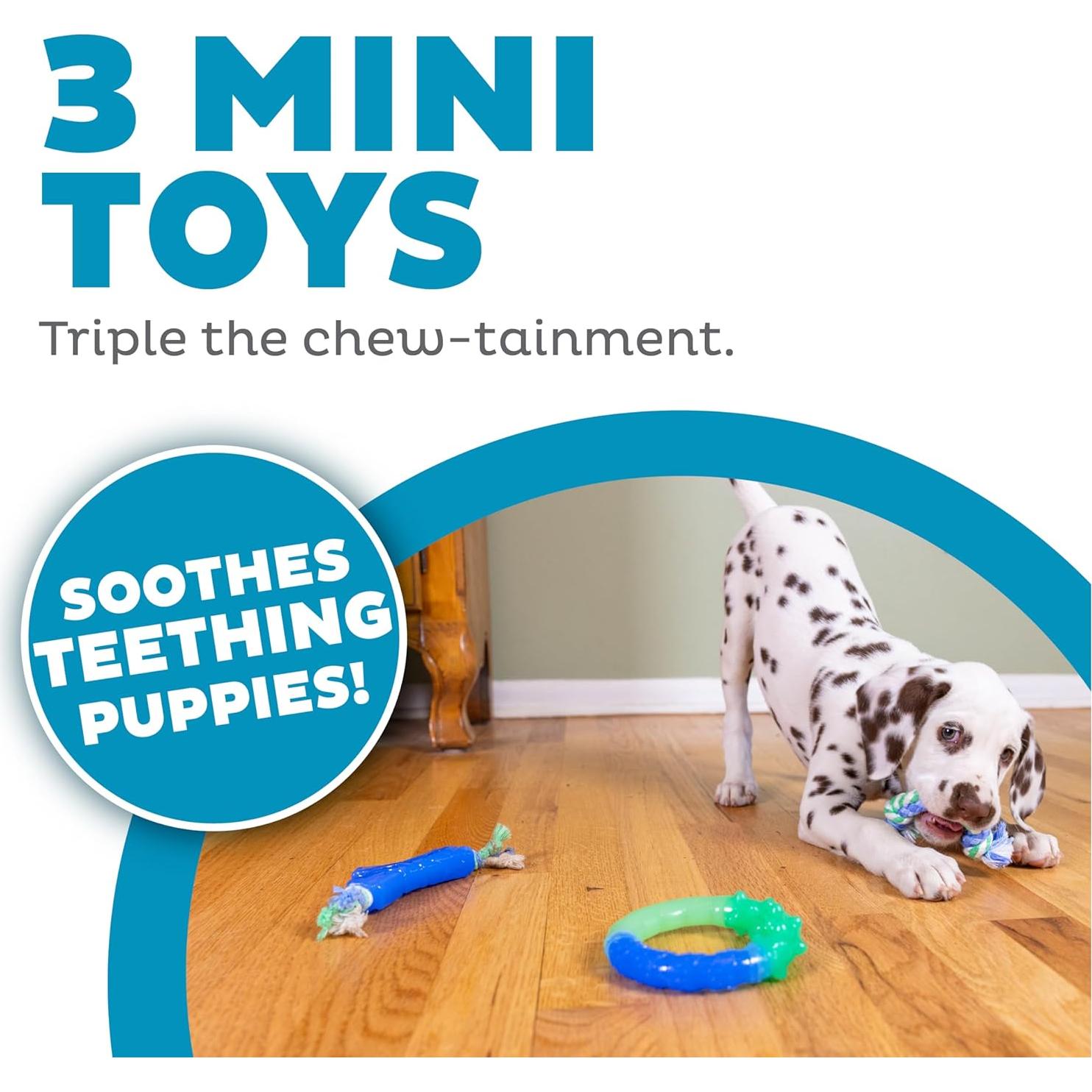 Juguetes de Masticación Dental Orka Puppy Outward Hound - 3 Piezas