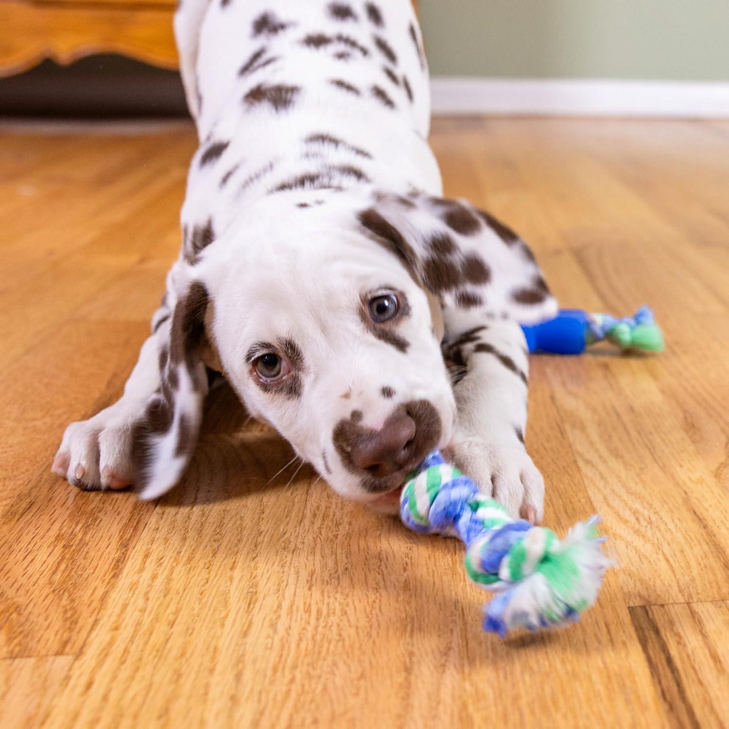 Juguetes de Masticación Dental Orka Puppy Outward Hound - 3 Piezas
