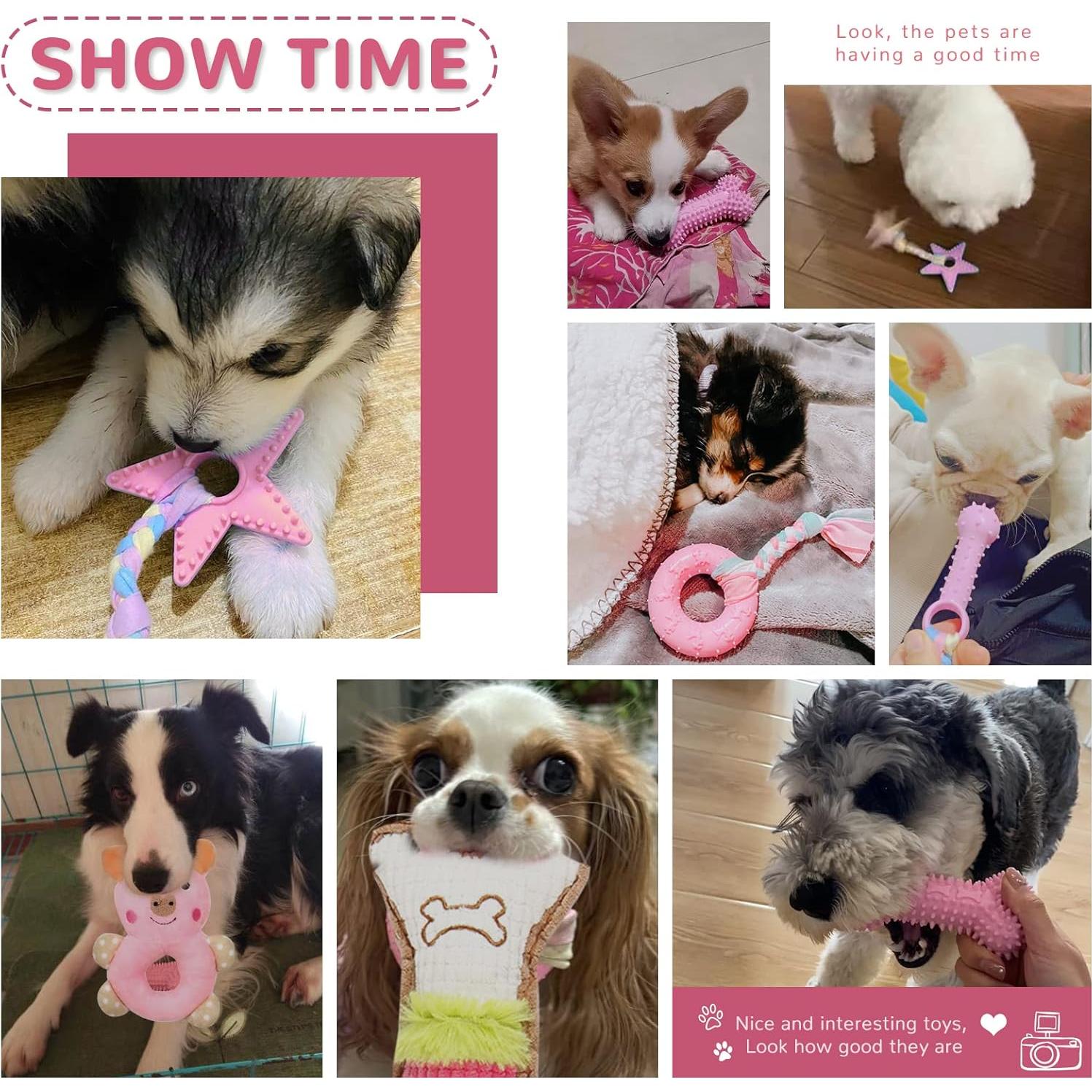 Set de 6 Juguetes para Cachorros XGDMEIL - Dentición y Alivio de Ansiedad