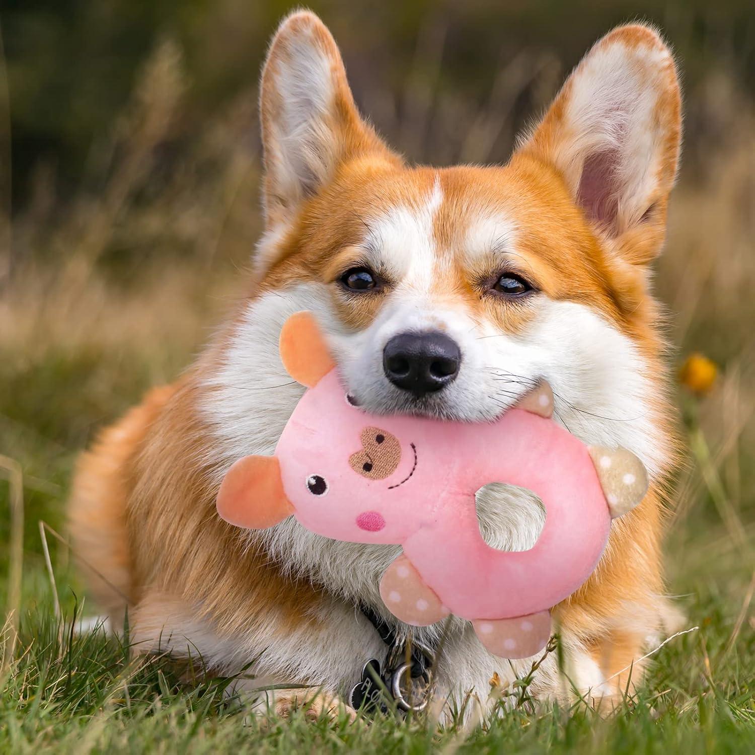 Set de 6 Juguetes para Cachorros XGDMEIL - Dentición y Alivio de Ansiedad