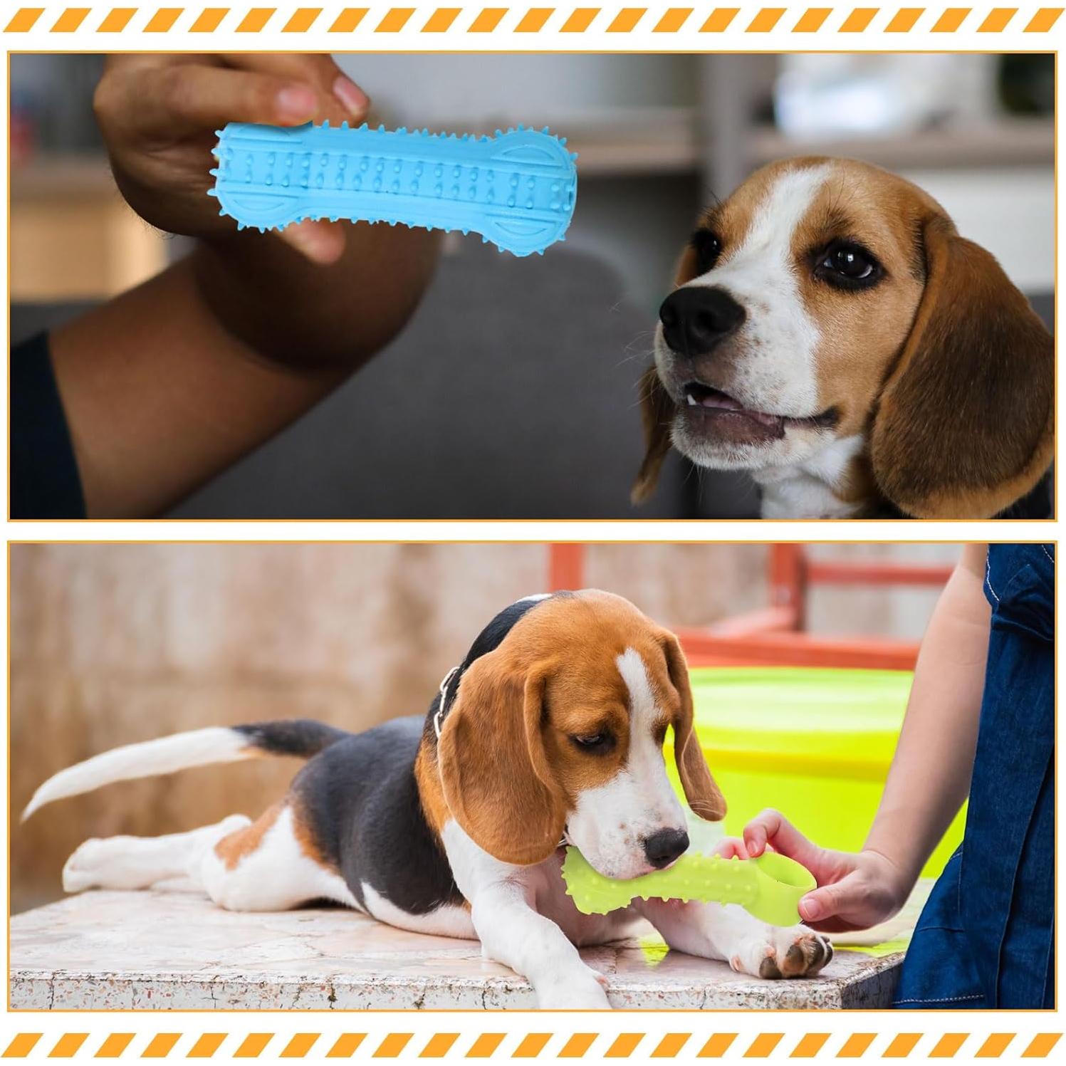 Paquete de 50 Juguetes para Cachorros Jenaai - Dentición y Ansiedad