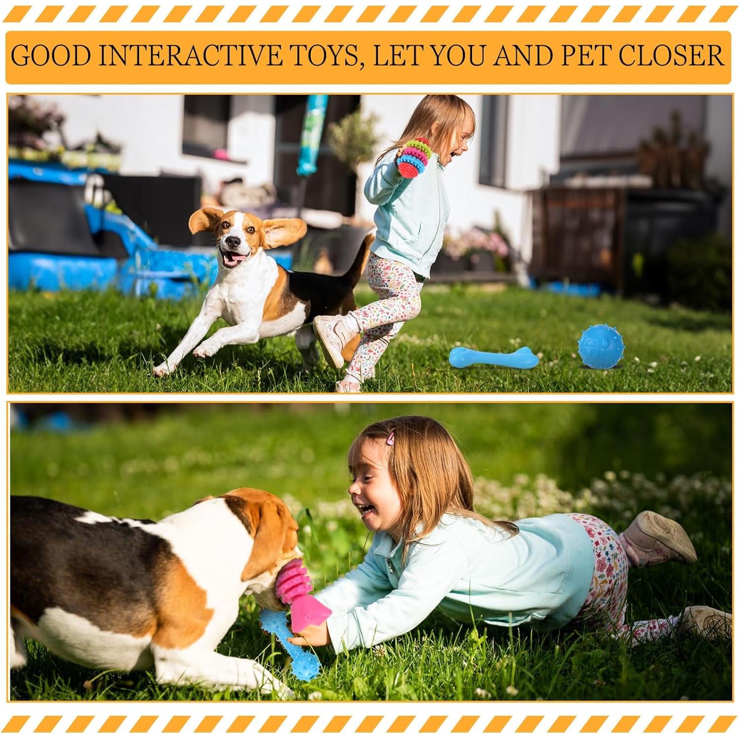 Paquete de 50 Juguetes para Cachorros Jenaai - Dentición y Ansiedad