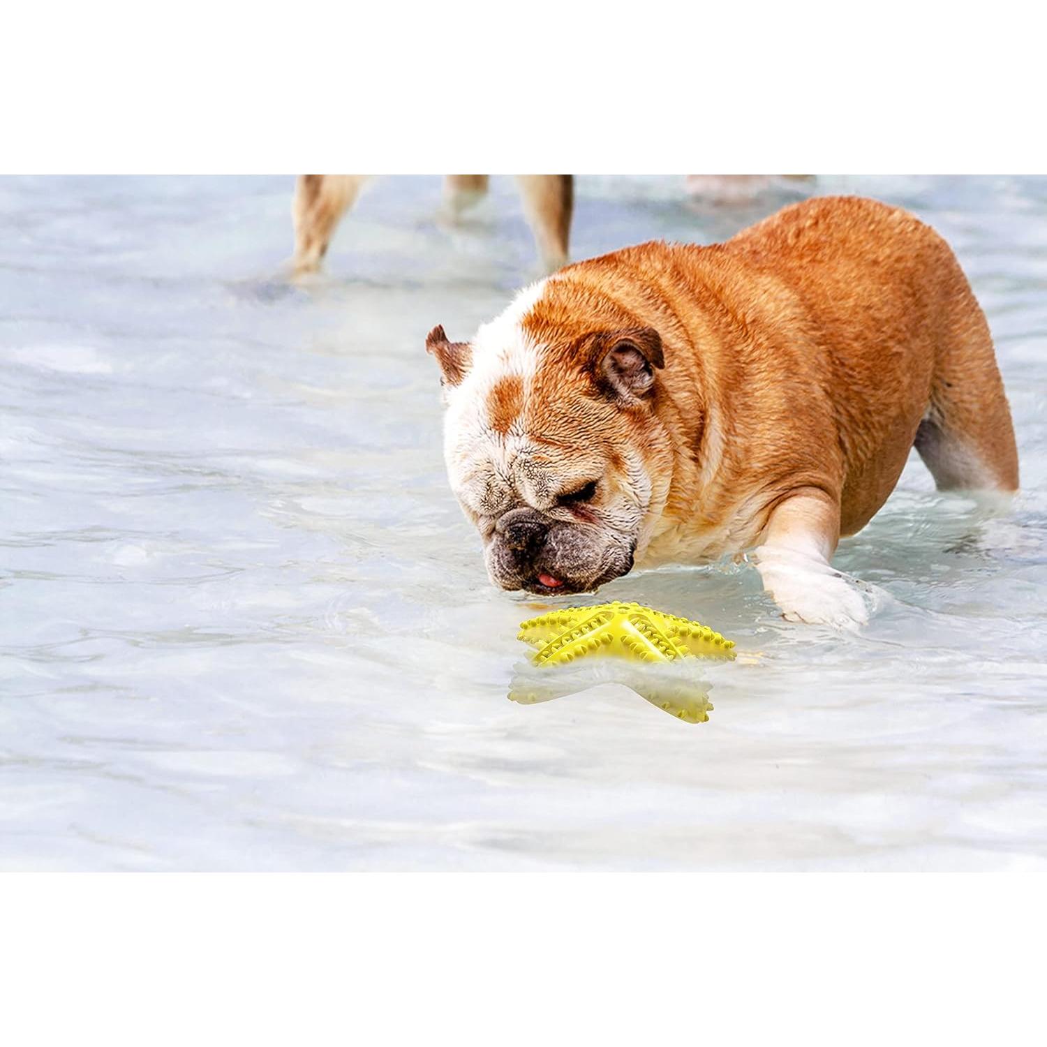 Juguete para Perros Carllg Estrella de Mar 16.5cm Azul