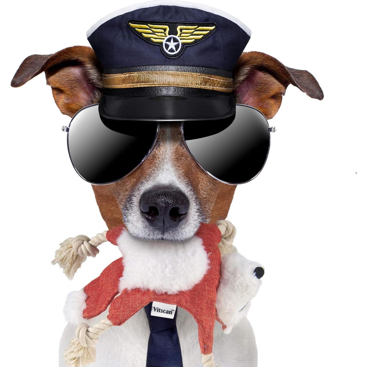 Juguete para Perro Zorro Vitscan con Squeaker y Cuerda 27cm