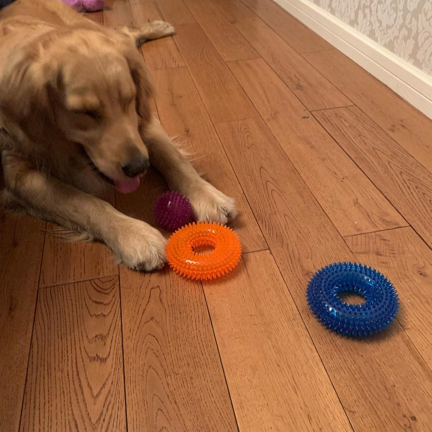 Juego de Juguetes para Perros Jalousie - 3 Pelotas Espinosas TPR