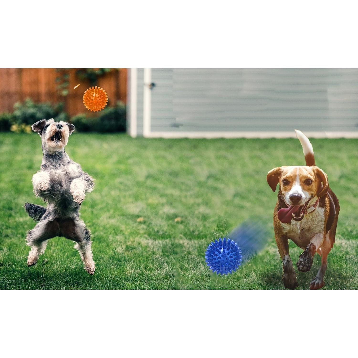 Juego de Juguetes para Perros Jalousie - 3 Pelotas Espinosas TPR