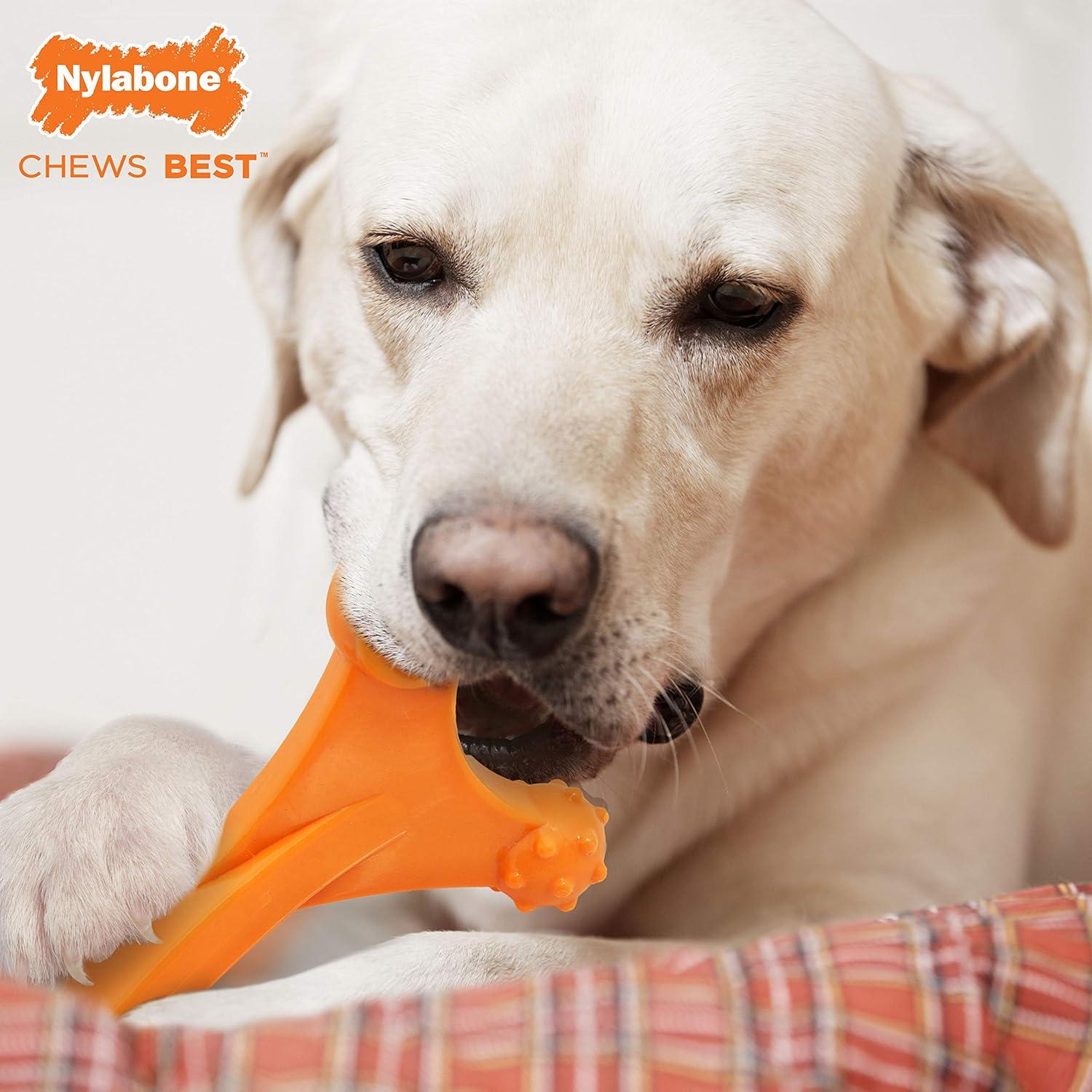 Juguete de Masticar Nylabone Power Chew Sabor Tocino X-Large
