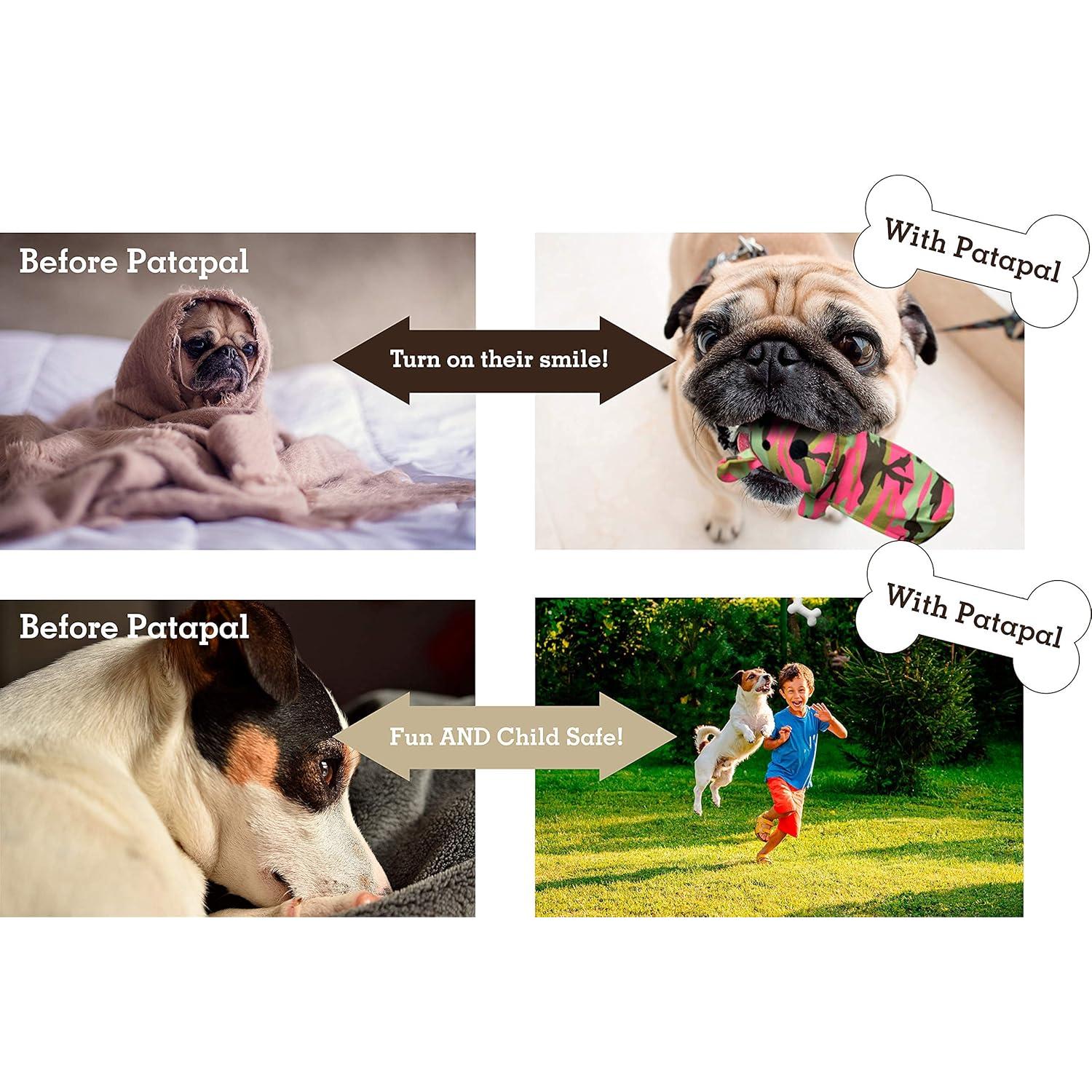 Juguete para Perros Pata Pal T-Bone Ecológico 16.5cm