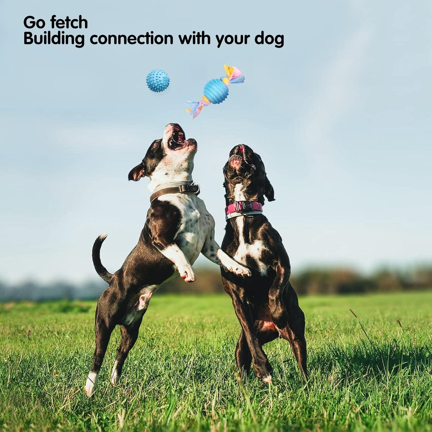 Juguetes para Perros Pequeños Bestdoggo 18 Piezas Seguros