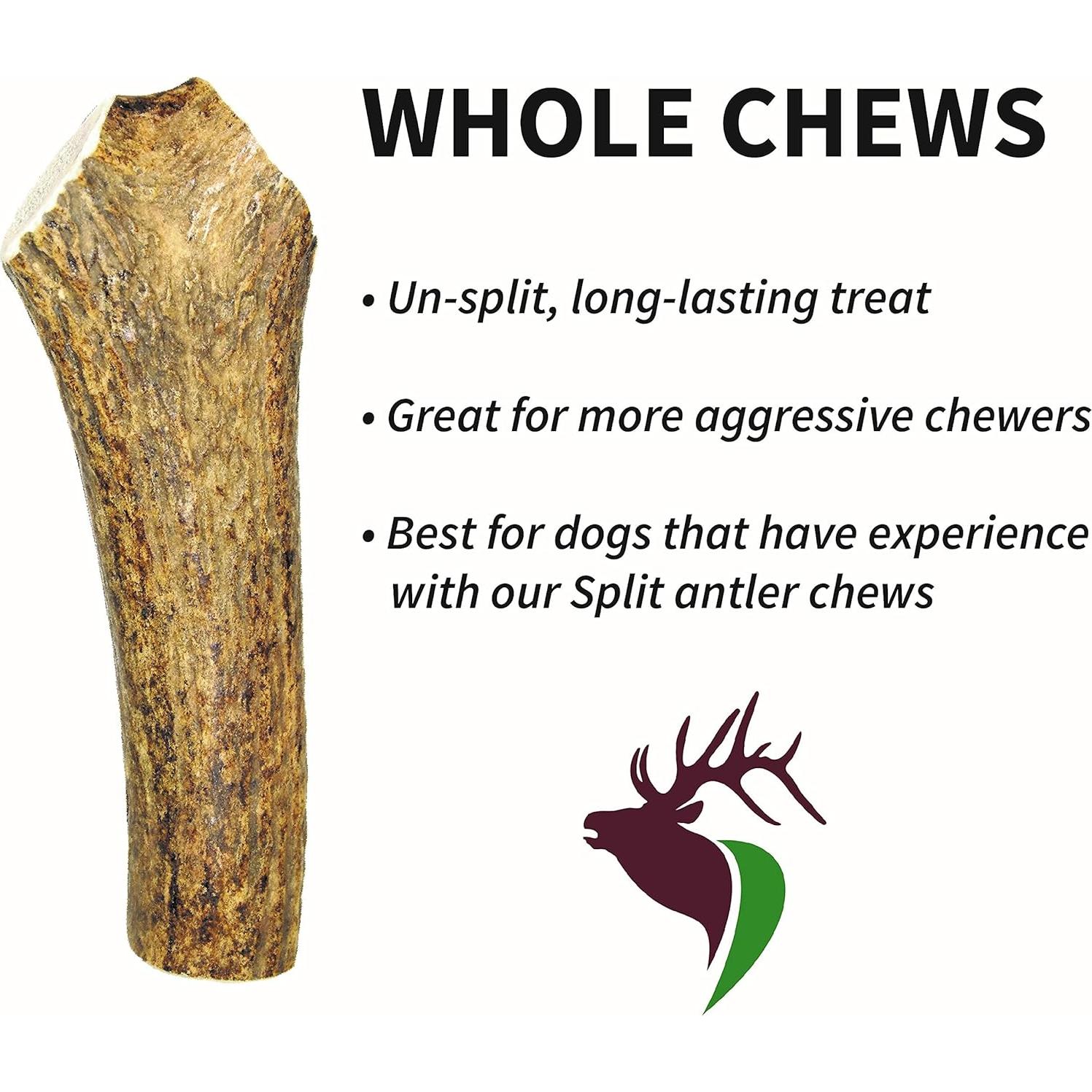 Astas de Alce Premium Elkhorn para Perros Pequeños - 2 Piezas