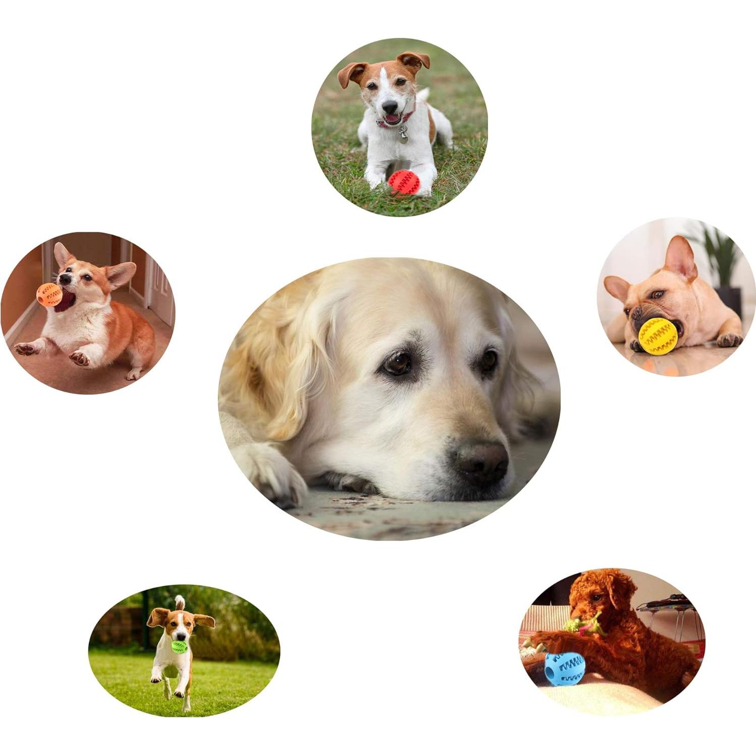 Bolas de Masticar para Perros Sunglow - 2 Unidades, 5 cm, No Tóxicas