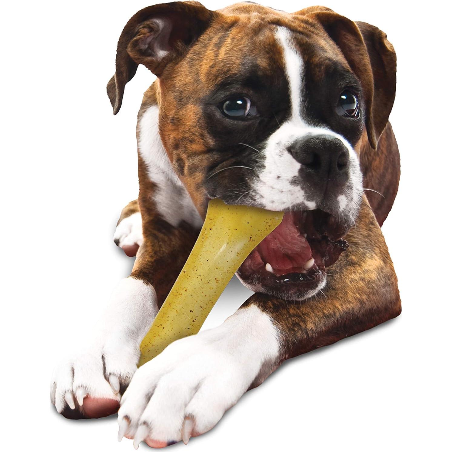 Juguete de Masticar Nylabone Flexi Hueso Sabor Pollo XL 22.68 kg