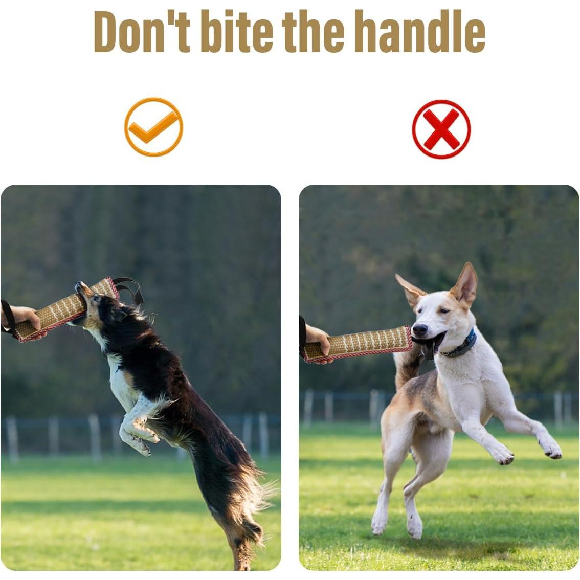 Juguete de Tirar para Perros Storystore 30x8 cm Jute Interactivo